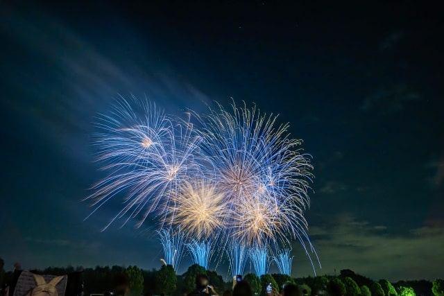 東松山花火大会の花火画像