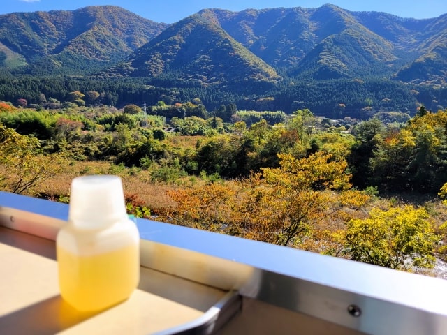 わたらせ渓谷鐵道の紅葉