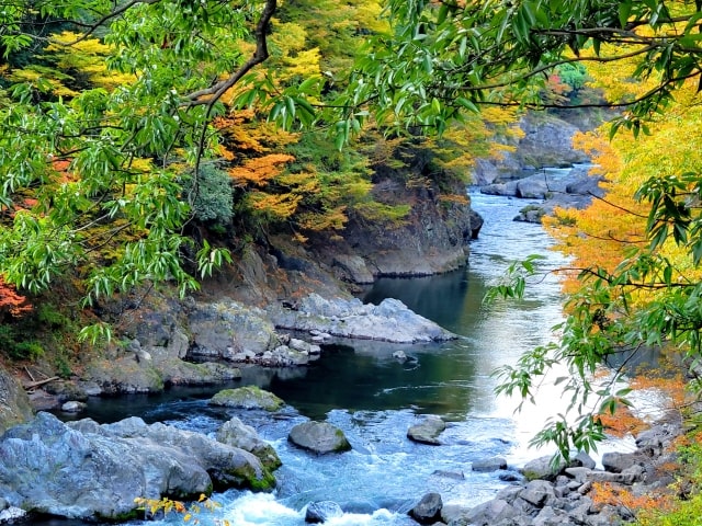 わたらせ渓谷鐵道の紅葉