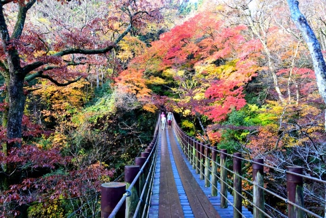 花貫渓谷の紅葉