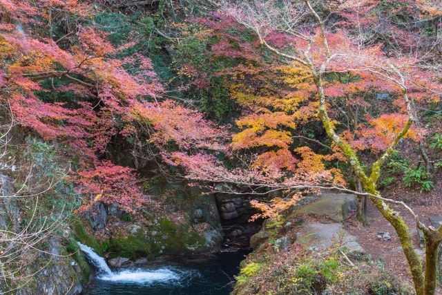 花貫渓谷の紅葉と汐見滝