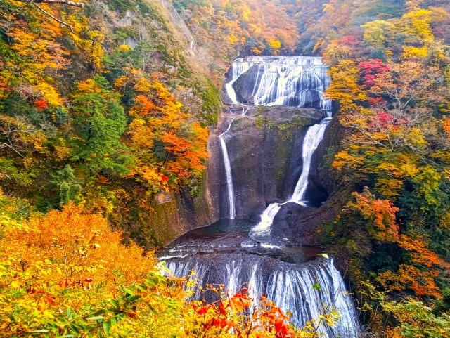 袋田の滝　紅葉
