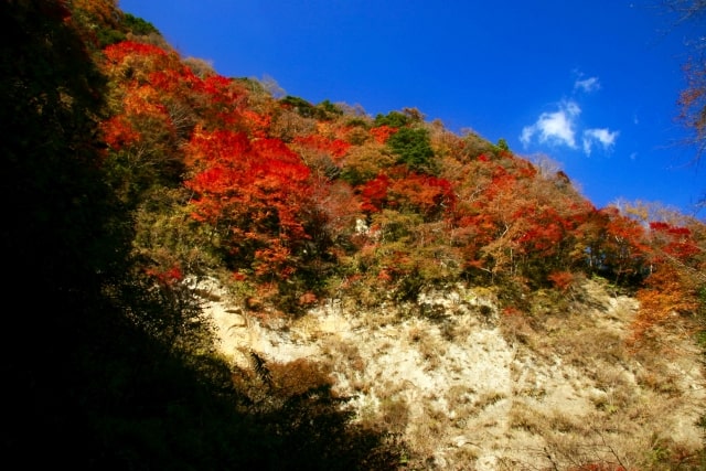 養老渓谷 梅ヶ瀬渓谷の紅葉