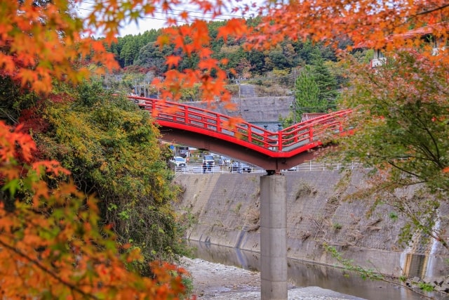 養老渓谷 観音橋の紅葉