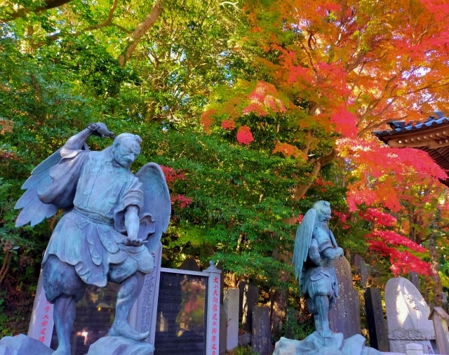 高尾山薬王院の紅葉
