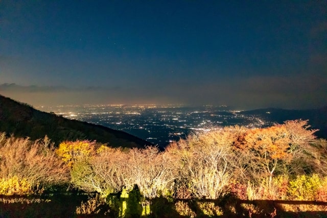 筑波山山頂デッキからの夜景画像