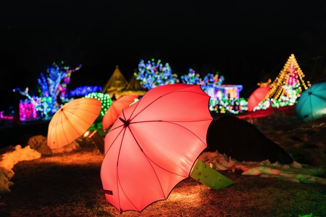 山中湖　花の都公園のイルミネーション