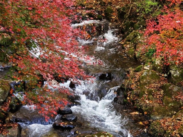 花園渓谷の紅葉