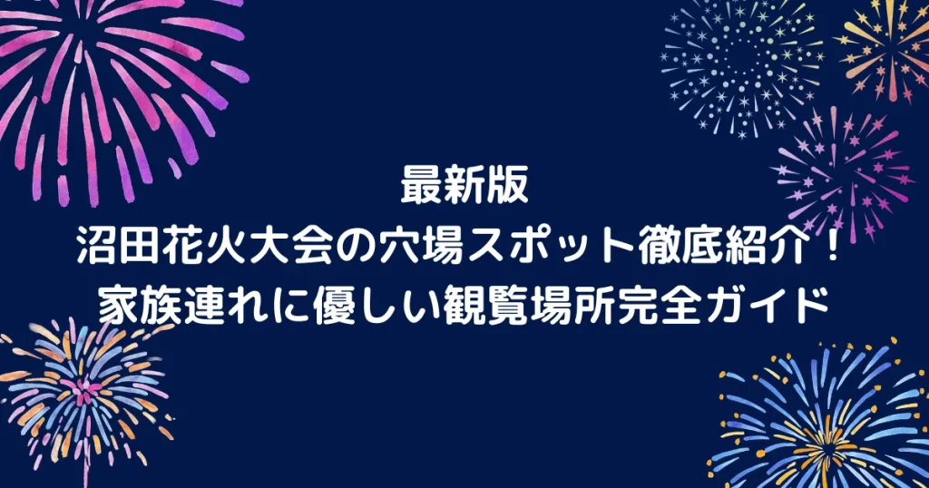 沼田花火大会キャッチアイ