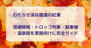 わたらせ渓谷鐵道の紅葉キャッチアイ画像