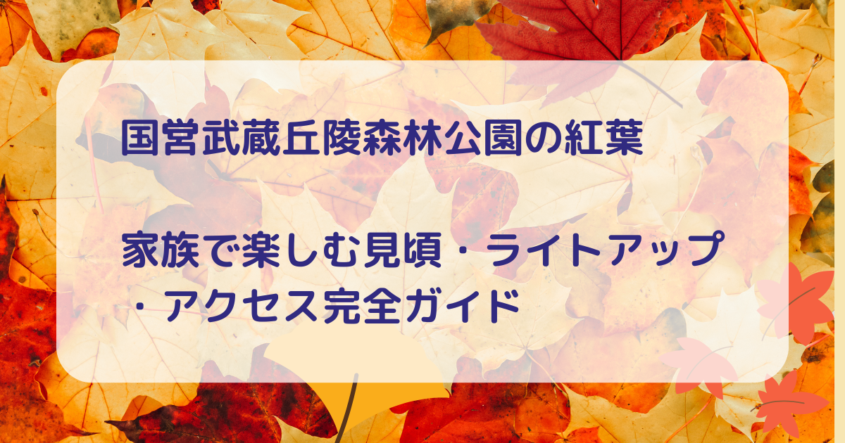 森林公園　紅葉のキャッチアイ画像
