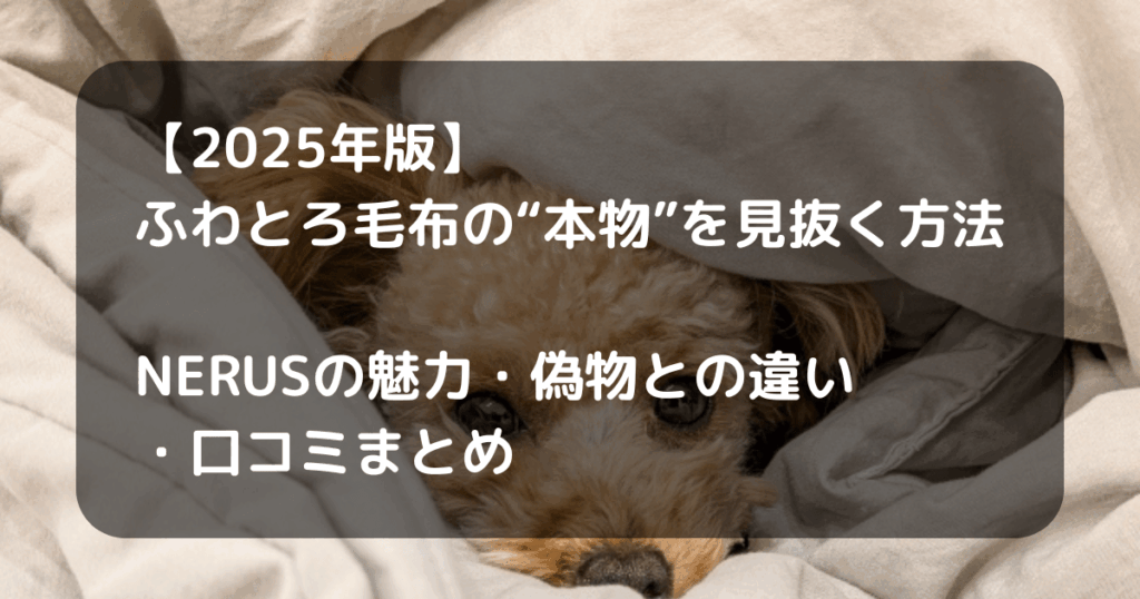 ふわとろ毛布のキャッチアイ