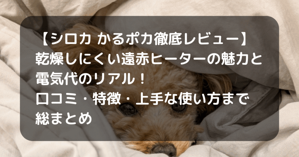 シロカ　かるポカ　キャッチアイ