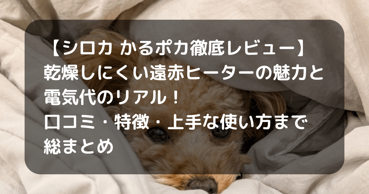 シロカ かるポカ キャッチアイ