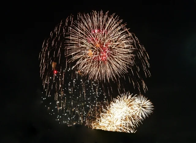 いたばし花火大会の画像