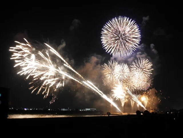 幕張ビーチ花火フェスタ(千葉市民花火大会)の画像