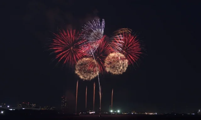 幕張ビーチ花火フェスタ(千葉市民花火大会)の画像